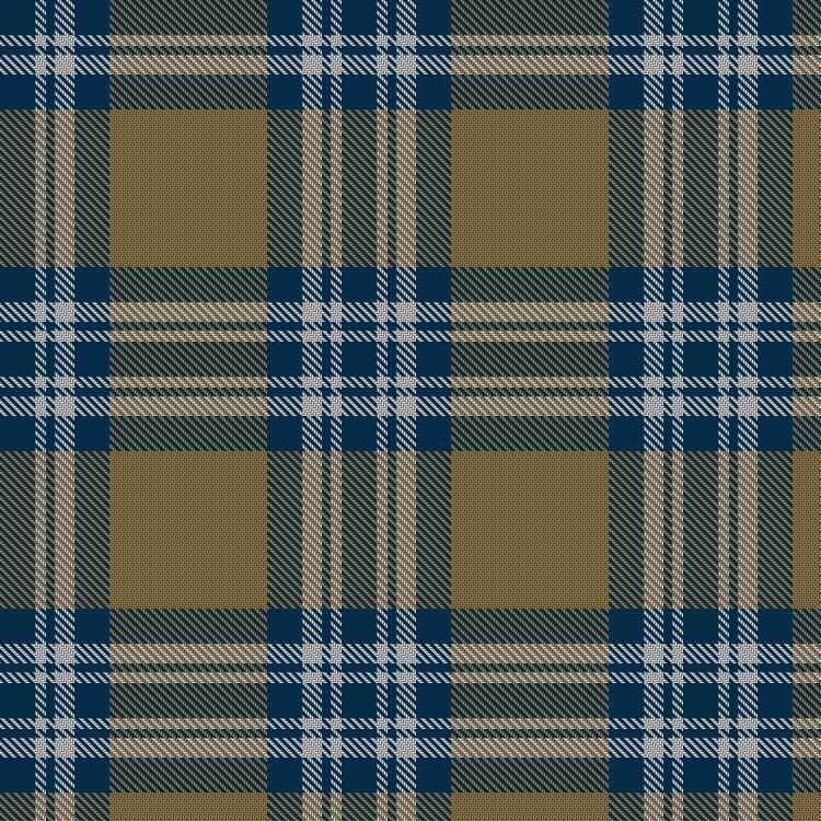 Tartan image: Machair. Click on this image to see a more detailed version.