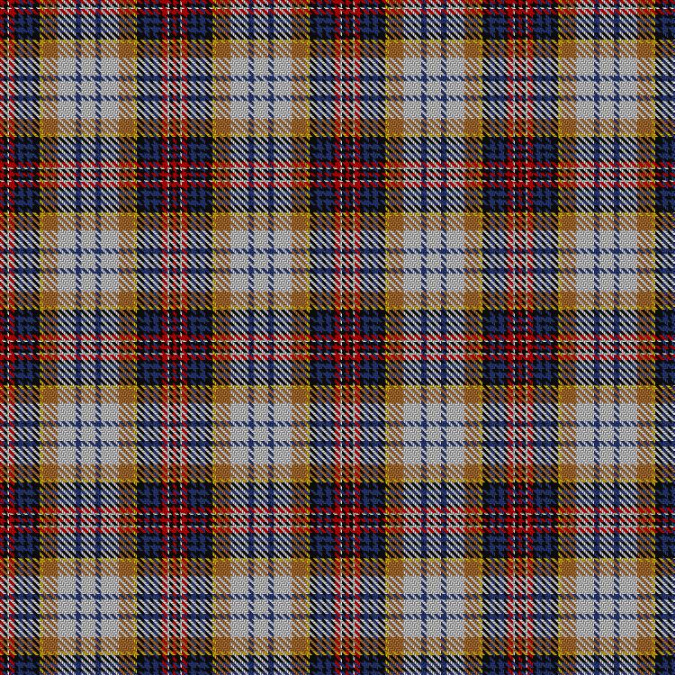 Tartan image: MacInnes Ancient Hunting. Click on this image to see a more detailed version.