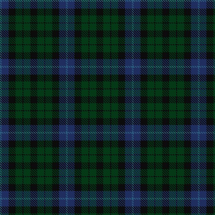 Tartan image: No.157 or MacIntyre. Click on this image to see a more detailed version.