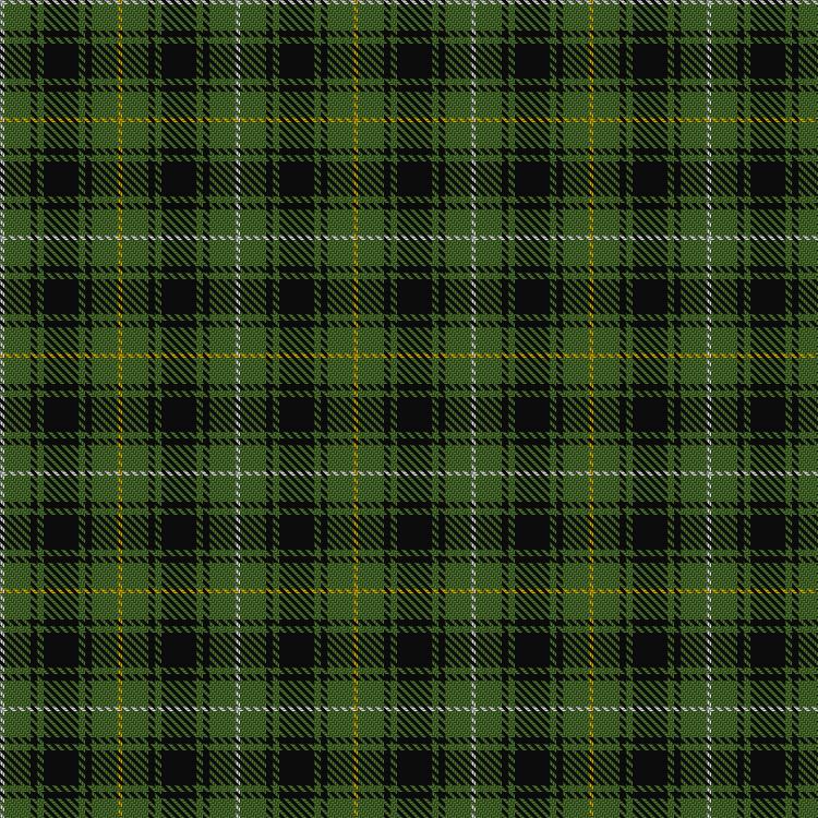 Tartan image: MacIver Hunting. Click on this image to see a more detailed version.