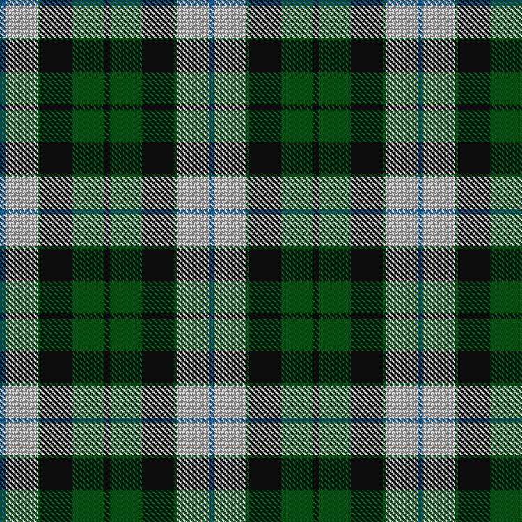 Tartan image: MacKay Dress. Click on this image to see a more detailed version.