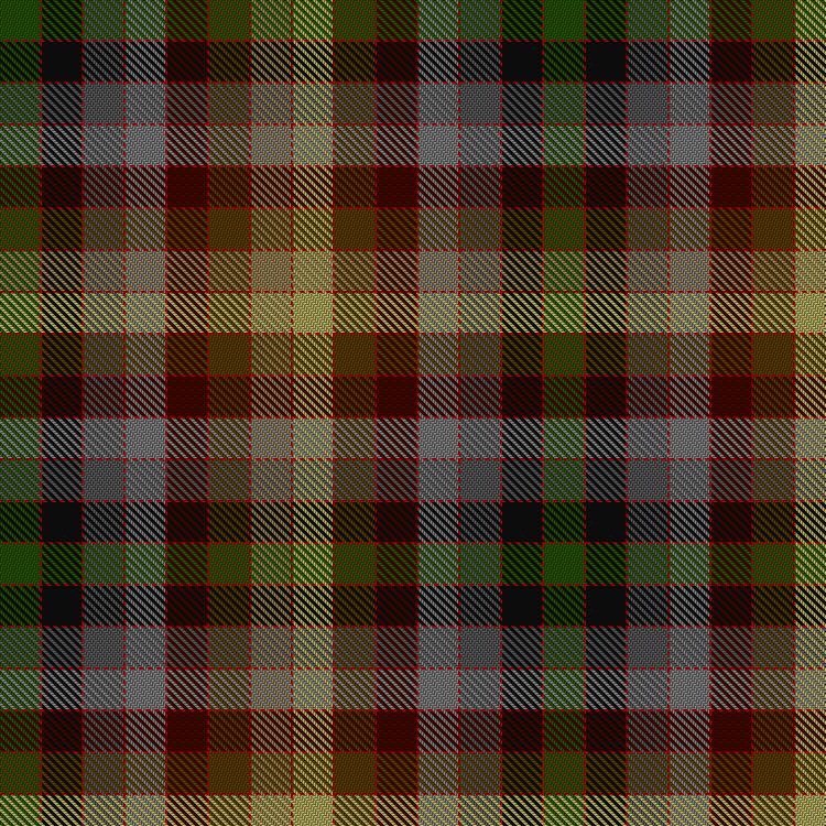 Tartan image: MacKay of Strathnaver. Click on this image to see a more detailed version.