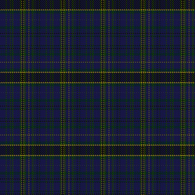 Tartan image: Benyon of Wales. Click on this image to see a more detailed version.