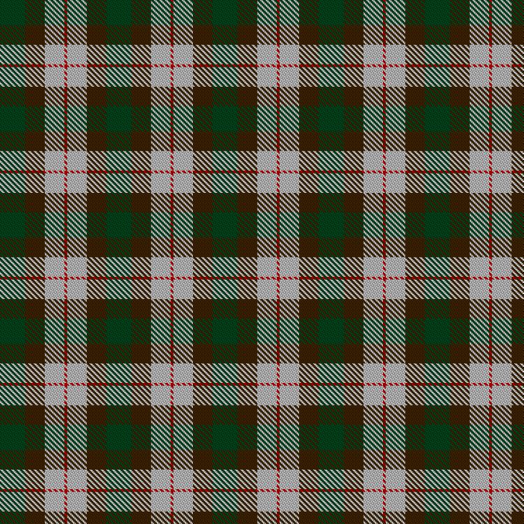 Tartan image: MacKinnon Dress. Click on this image to see a more detailed version.