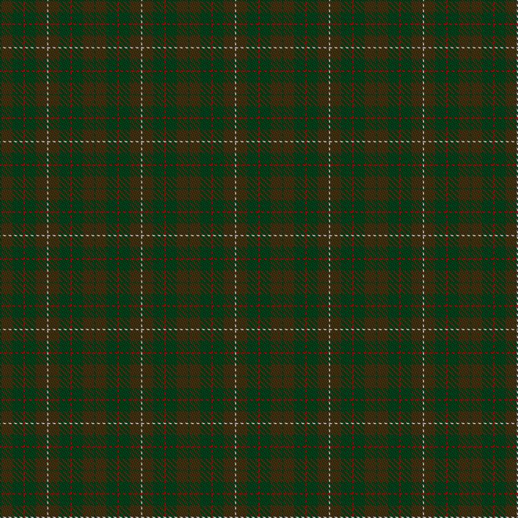 Tartan image: MacKinnon Hunting. Click on this image to see a more detailed version.