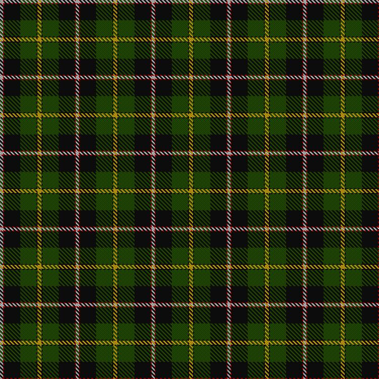 Tartan image: MacLamroc. Click on this image to see a more detailed version.