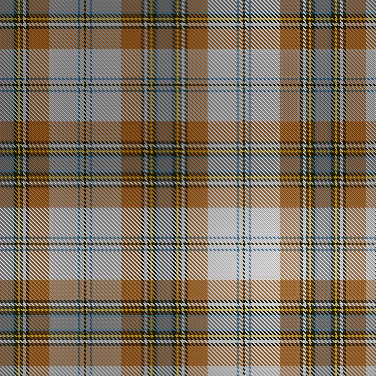 Tartan image: MacLean of Duart Dress #5. Click on this image to see a more detailed version.