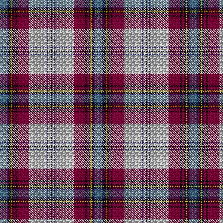 Tartan image: MacLean of Duart Dress #4. Click on this image to see a more detailed version.
