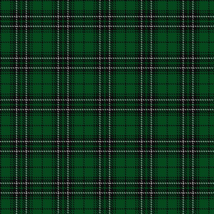 Tartan image: MacLean of Duart Hunting. Click on this image to see a more detailed version.