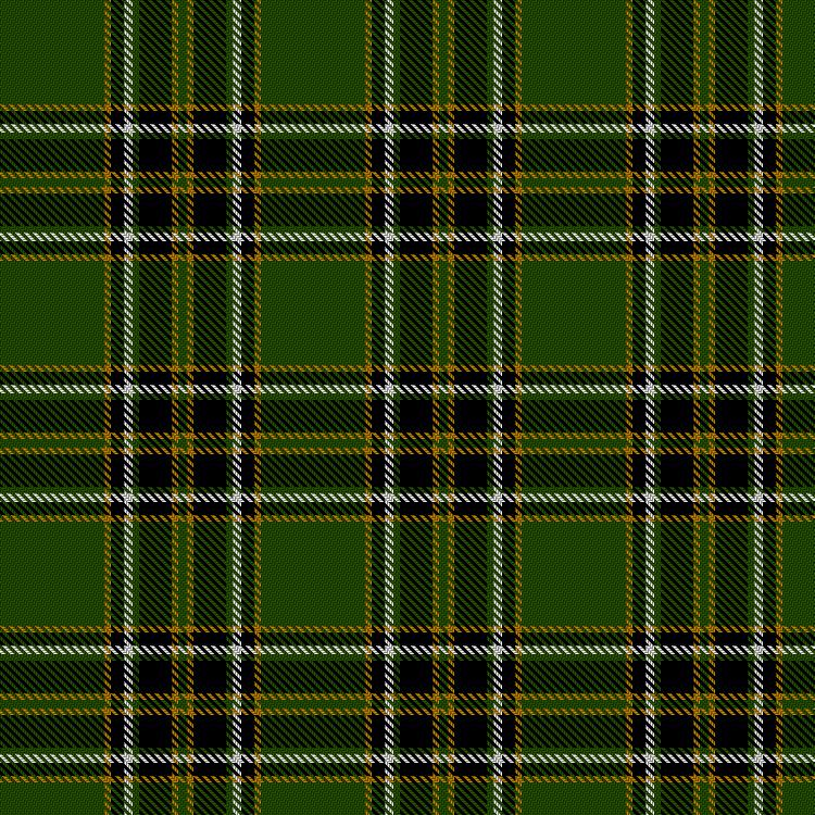 Tartan image: Birmingham Irish Pipes & Drums. Click on this image to see a more detailed version.
