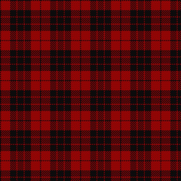 Tartan image: MacLeod of Raasay. Click on this image to see a more detailed version.