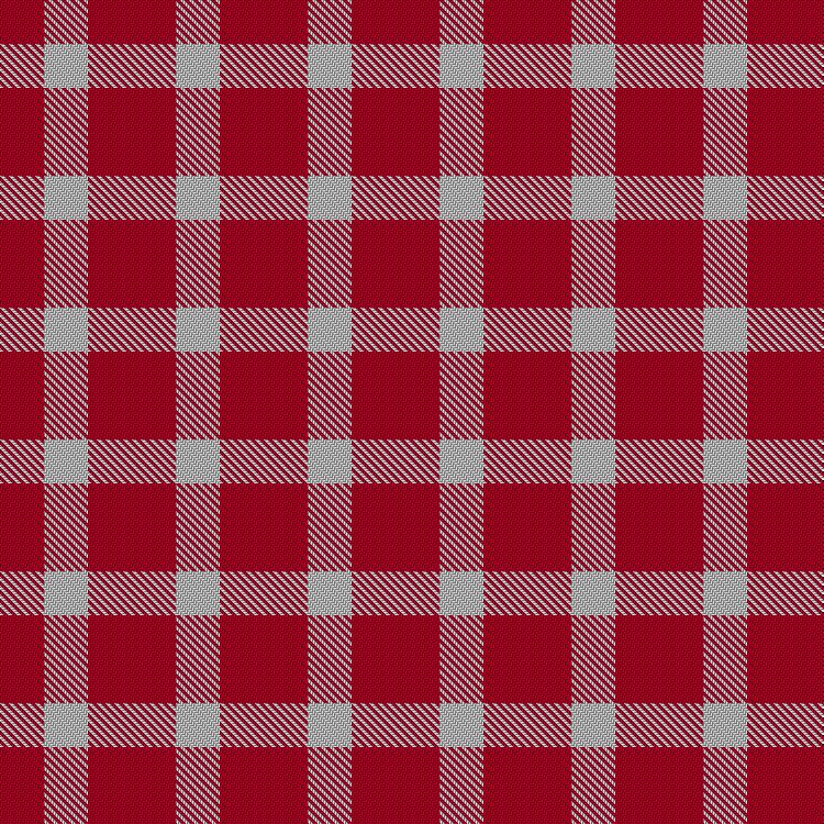 Tartan image: MacMedic. Click on this image to see a more detailed version.