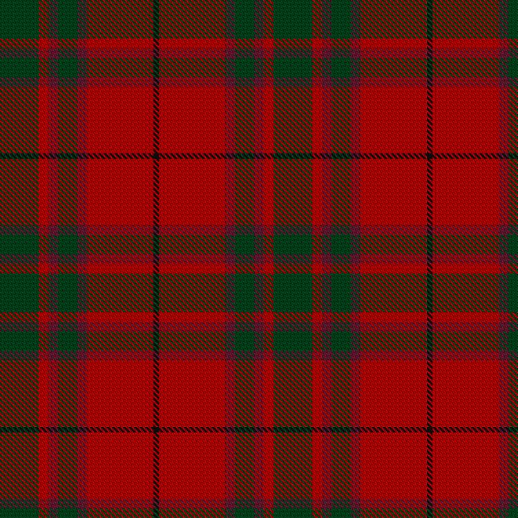 Tartan image: MacNab (VS). Click on this image to see a more detailed version.