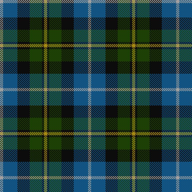 Tartan image: MacNeil of Barra. Click on this image to see a more detailed version.