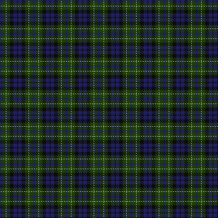 Tartan image: MacNeil of Colonsay #1. Click on this image to see a more detailed version.