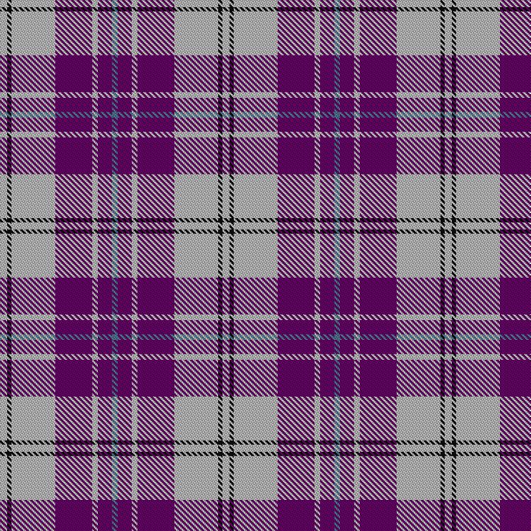 Tartan image: MacPherson Dress Purple. Click on this image to see a more detailed version.