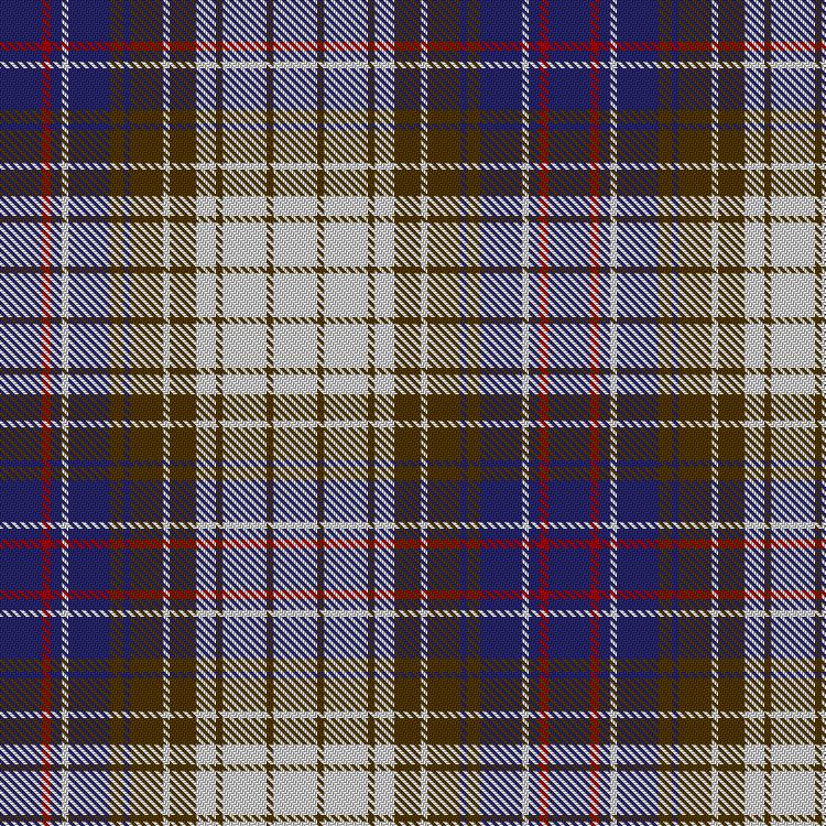 Tartan image: Black and White Colourway. Click on this image to see a more detailed version.