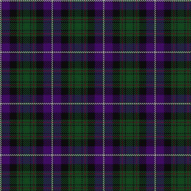 Tartan image: MacRae Hunting #1. Click on this image to see a more detailed version.