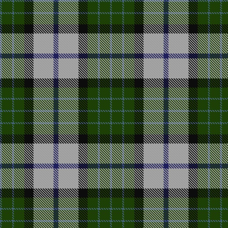Tartan image: MacRobart Dress (Personal). Click on this image to see a more detailed version.
