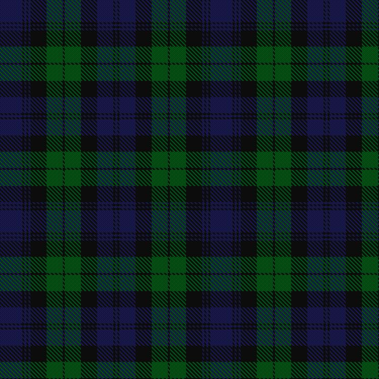 Tartan image: Black Watch (Government). Click on this image to see a more detailed version.