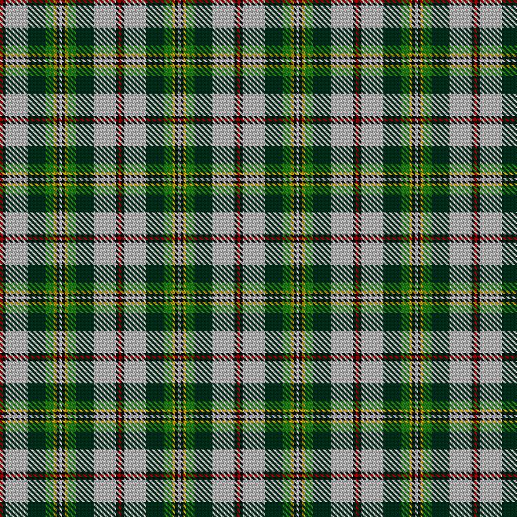 Tartan image: Madewell Dress. Click on this image to see a more detailed version.
