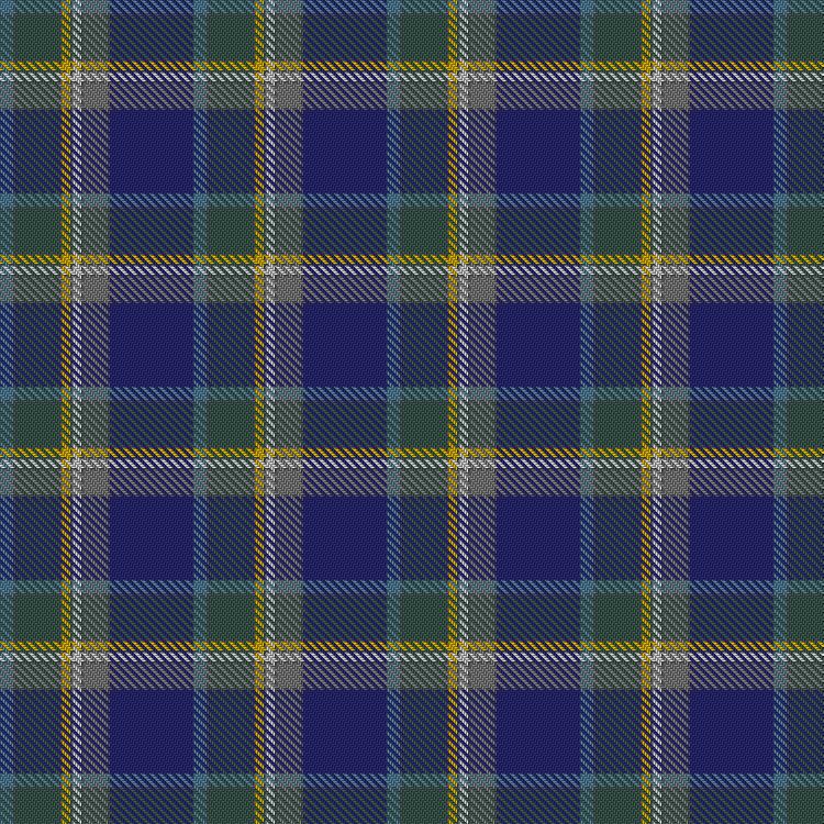 Tartan image: Manx Hunting. Click on this image to see a more detailed version.