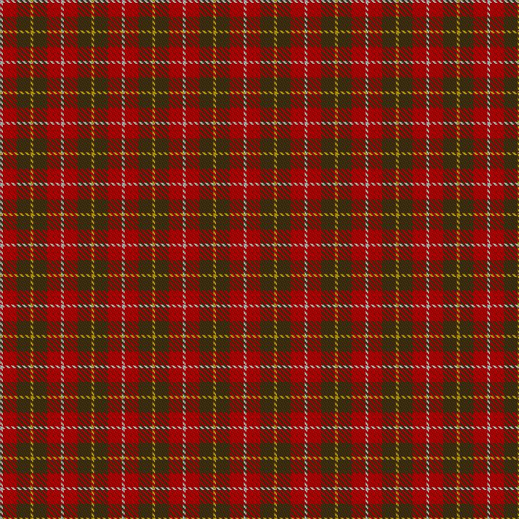 Tartan image: Manx Mannin Plaid. Click on this image to see a more detailed version.