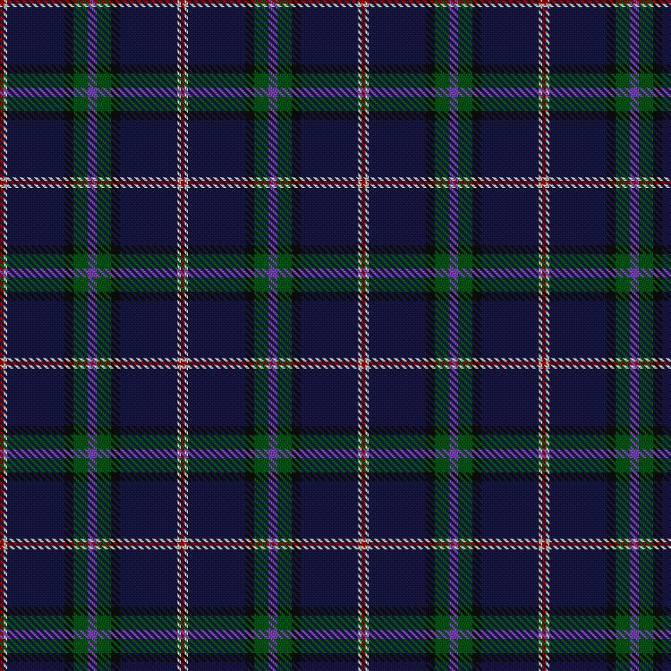 Tartan image: Marion (Personal). Click on this image to see a more detailed version.