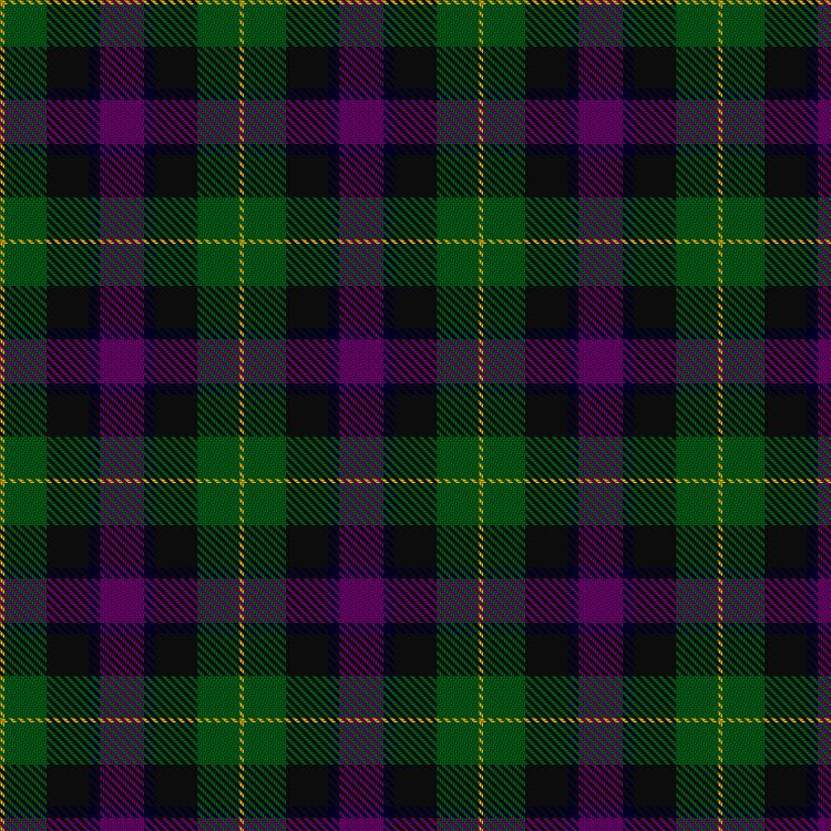Tartan image: Martin Hunting. Click on this image to see a more detailed version.