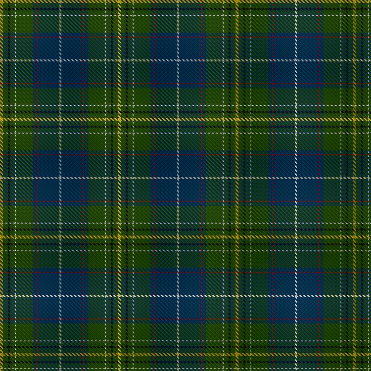 Tartan image: McAvoy (Personal). Click on this image to see a more detailed version.