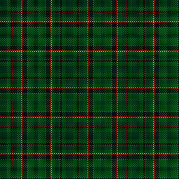 Tartan image: McCamley (Personal). Click on this image to see a more detailed version.
