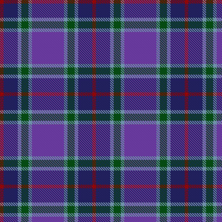 Tartan image: McIntosh, Georgina (Personal). Click on this image to see a more detailed version.