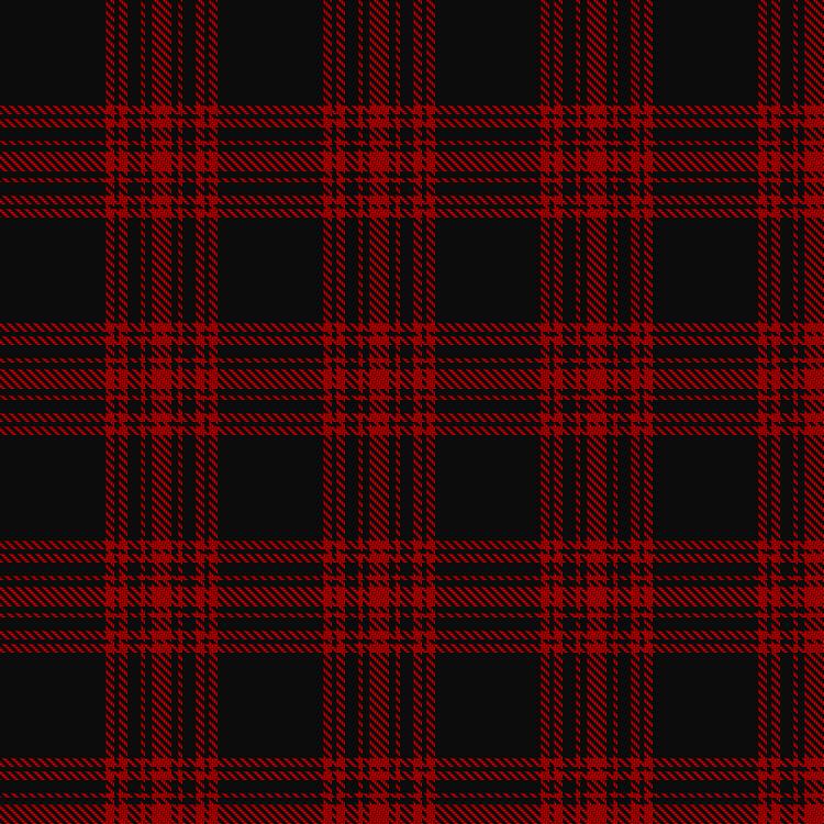 Tartan image: Menzies Hunting. Click on this image to see a more detailed version.