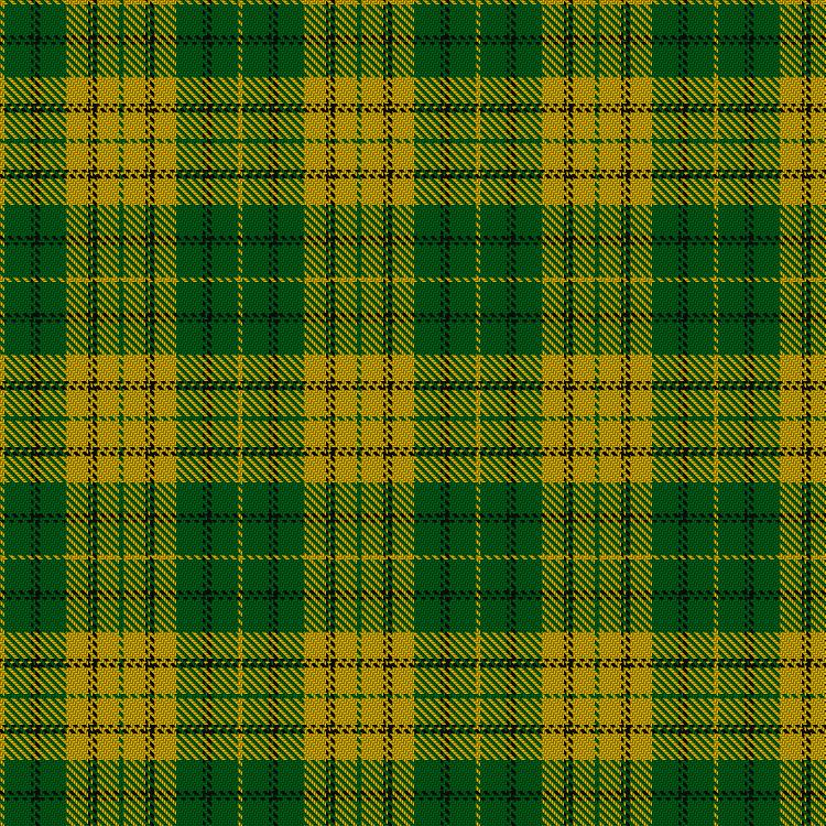 Tartan image: Meredith of Wales. Click on this image to see a more detailed version.