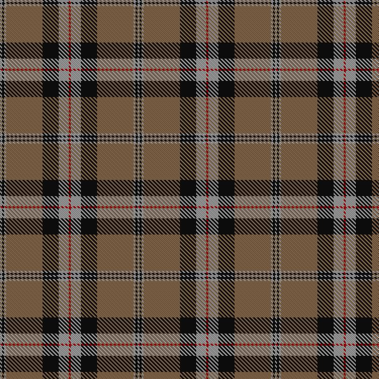 Tartan image: Merrick, Camel. Click on this image to see a more detailed version.