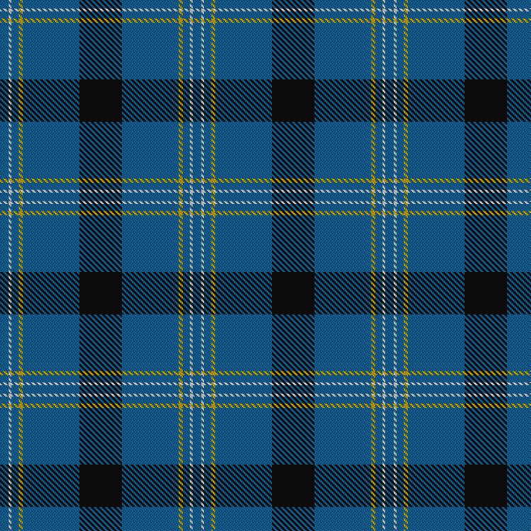 Tartan image: Micron. Click on this image to see a more detailed version.