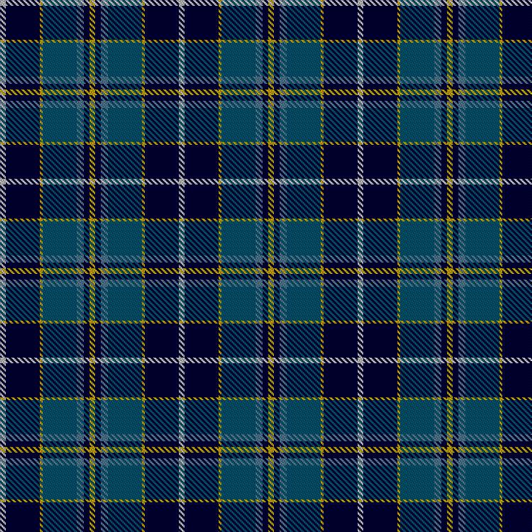 Tartan image: Mina Perhonen. Click on this image to see a more detailed version.