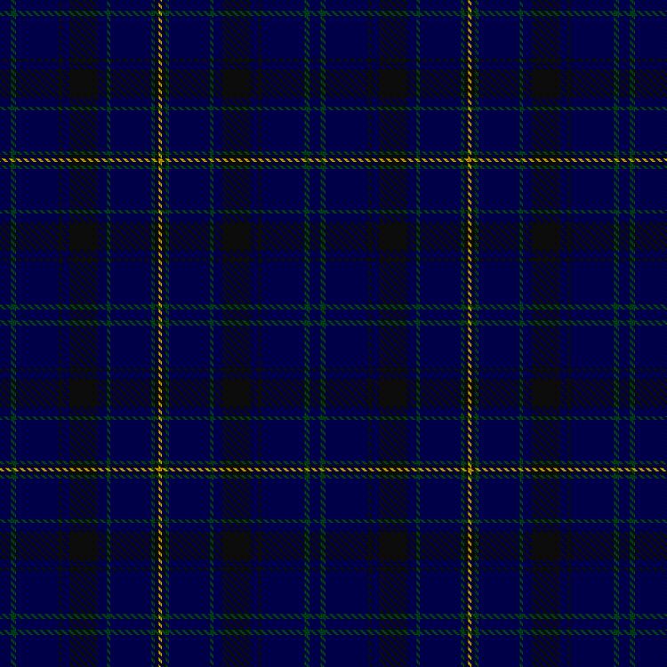 Tartan image: Moon (New Maldon, Surrey). Click on this image to see a more detailed version.