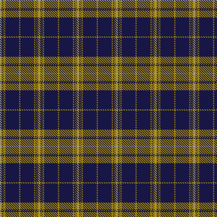 Tartan image: Morris of Wales. Click on this image to see a more detailed version.