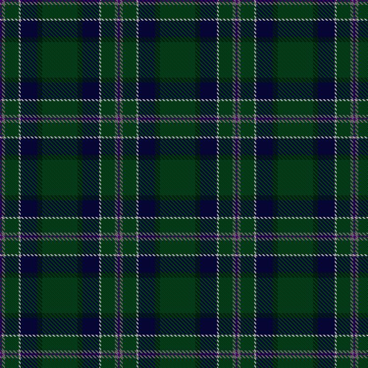 Tartan image: Mounth,The  Rejected. Click on this image to see a more detailed version.