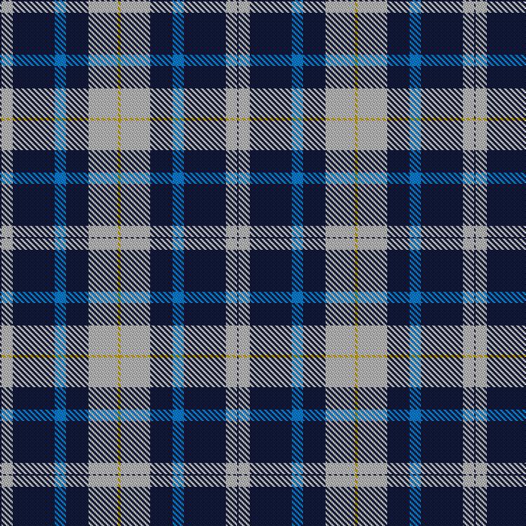 Tartan image: John Muir Commemorative. Click on this image to see a more detailed version.