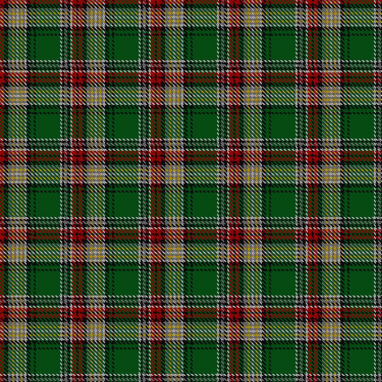 Tartan image: Murtaugh Hunting. Click on this image to see a more detailed version.