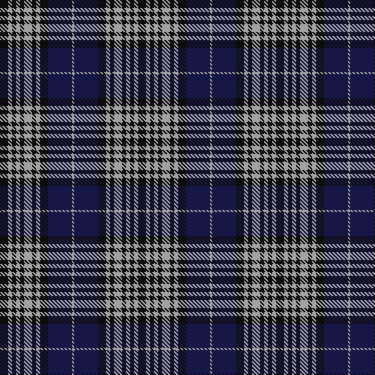 Tartan image: Napier. Click on this image to see a more detailed version.