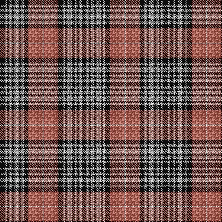Tartan image: Napier Rose. Click on this image to see a more detailed version.