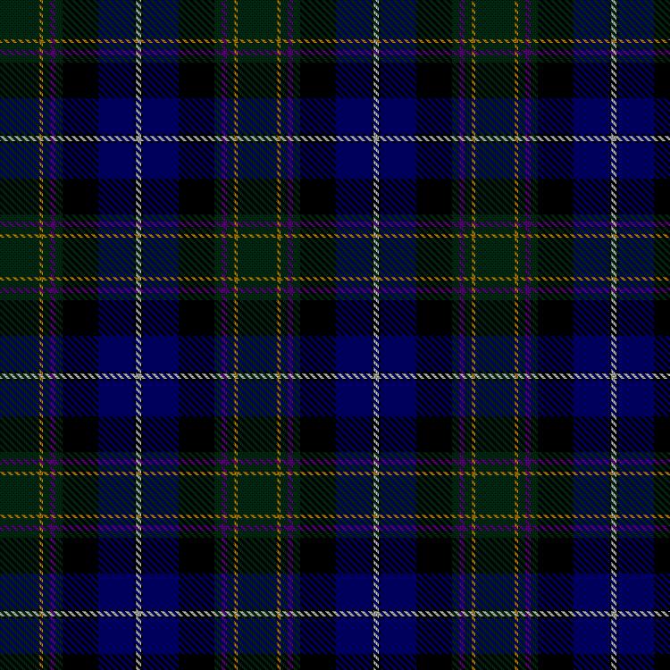 Tartan image: National Wedding. Click on this image to see a more detailed version.