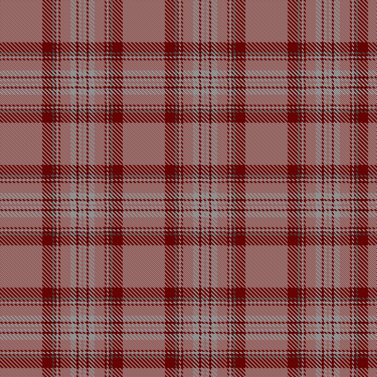 Tartan image: Nevis Dress. Click on this image to see a more detailed version.
