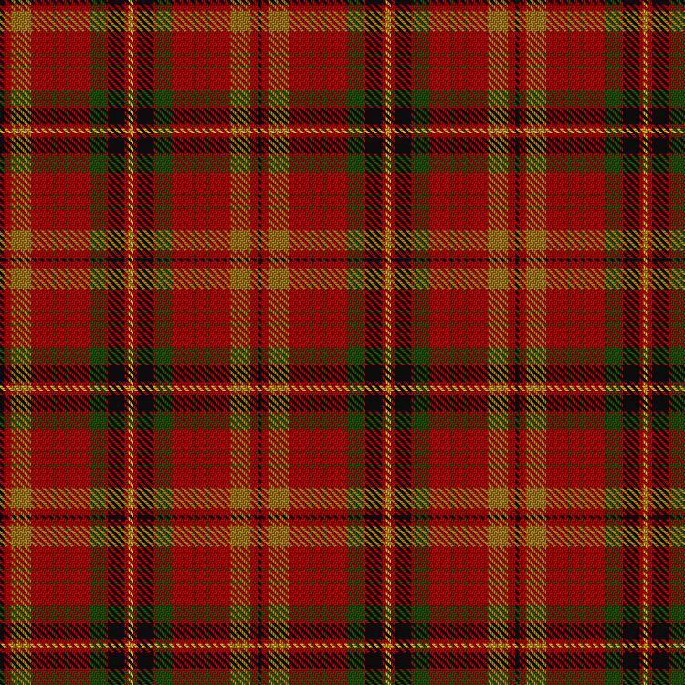 Tartan image: Bonnie Prince Charlie (Vyella). Click on this image to see a more detailed version.