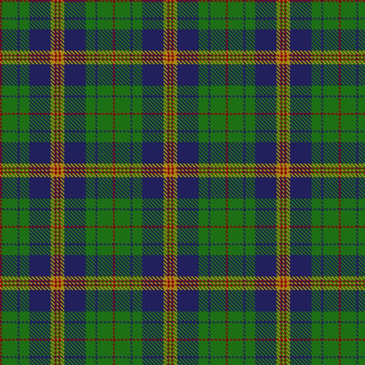 Tartan image: New Mexico, State of. Click on this image to see a more detailed version.