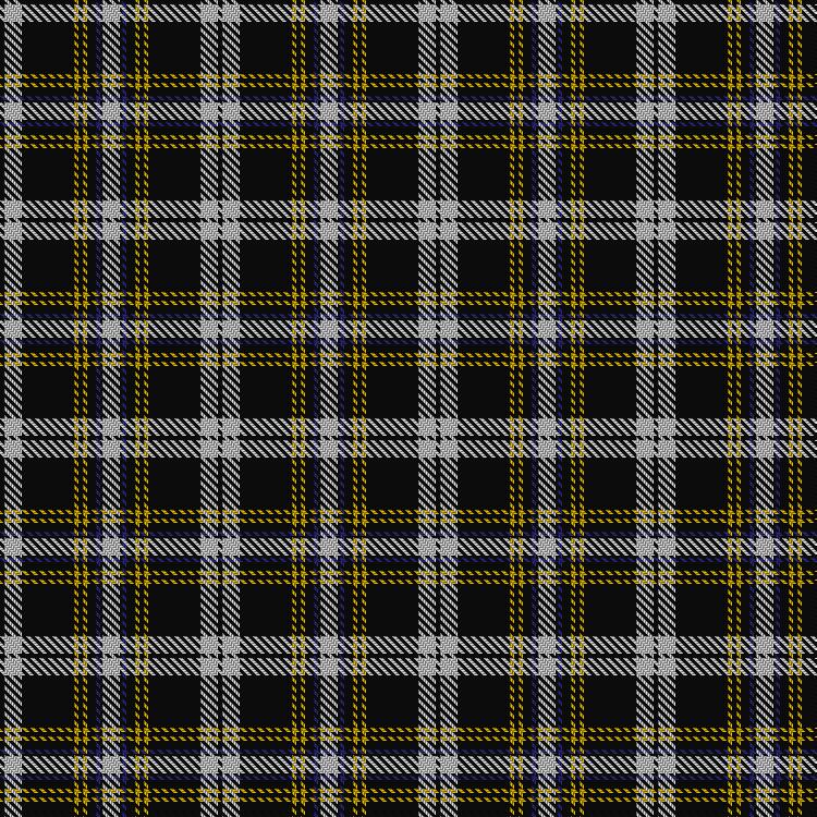 Tartan image: Newcastle. Click on this image to see a more detailed version.