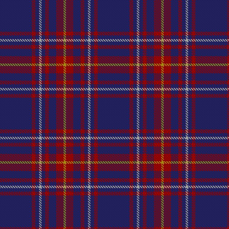 Tartan image: Newton Primary School. Click on this image to see a more detailed version.